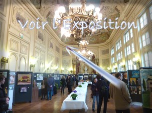 Visitez l'exposition de Peinture et Sculpture organis�e par Les Amis des Arts de Sens
