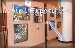 Cliquez sur l image pour Visitez l'exposition de Cannes écluse (77)