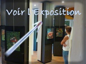 Visitez l'exposition de peinture � la maison de la For�t de Paucourt (Loiret)