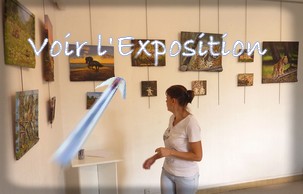 Visitez l'exposition de Peinture et Sculpture organisée par la MJC de Meaux (77)