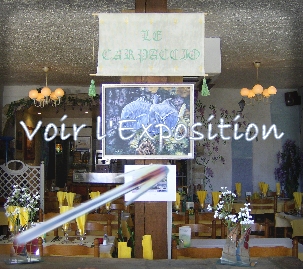 Visitez l'exposition dans le restaurant pizzeria Le Carpaccio à Provins