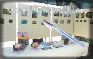 Visitez l'exposition de Pont sur Yonne 2011