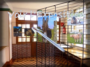 Visitez l'Exposition de peintures à Rogny les Sept Ecluses, les oeuvres en relief 3D de l'artiste peintre Virginie Trabaud