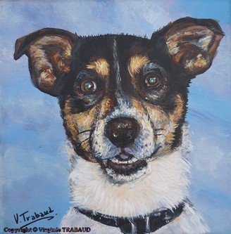 Peinture de Jack russel - Virginie Trabaud Artiste Peintre