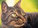 les peintures miniatures