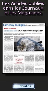 Lire les articles publi�s dans la presse sur l'artiste peintre virginie Trabaud