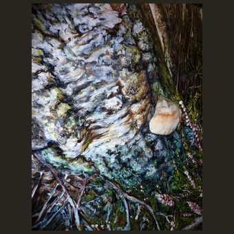 Peinture Arbre et Champignons foret fontainebleau - vue de C�t�