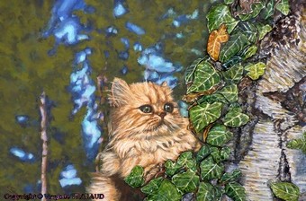 peinture chat persan dans l'arbre - Virginie Trabaud artiste peintre Animalier