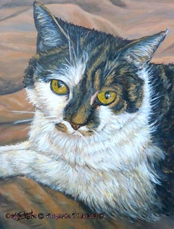 Peinture portrait de Chat - Choupette - Virginie Trabaud artiste peintre