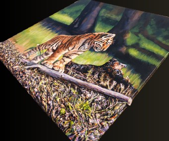 Zoom sur le tableau en relief 3D le b�b� Tigre