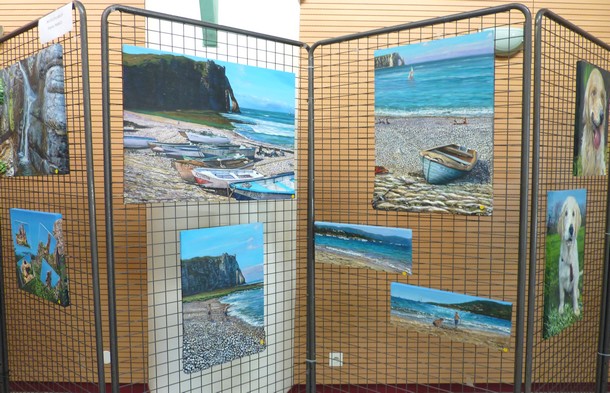 tableaux de peinture en relief 3D - Virginie Trabaud - Cannes Ecluse 2014