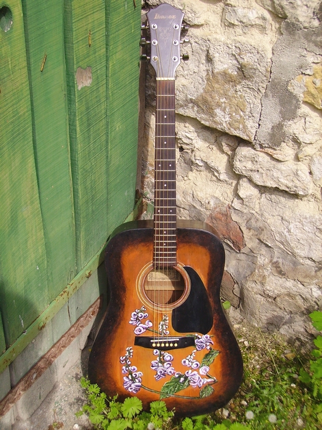 d�coration guitare folk fleurs