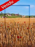 Peinture en Relief 3D - Campagne et blés- Virginie Trabaud Artiste Peintre