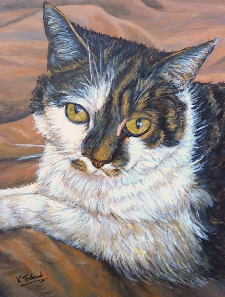peinture portrait de chat européen ecaille de tortue- acrylique - Virginie Trabaud artiste peintre