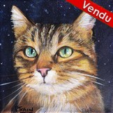 Peinture chat européen portrait de nuit - acrylique - Virginie Trabaud Artiste Peintre