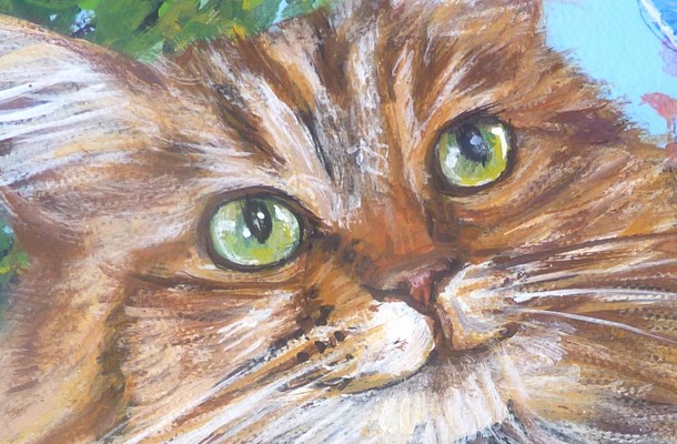 Peinture Chat Maine Coon Et Papillon Bleu Toile Acrylique Réaliste