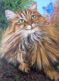 chat maine coon et papillon - Peinture acrylique - Cliquez sur l'image pour voir la fiche détaillée