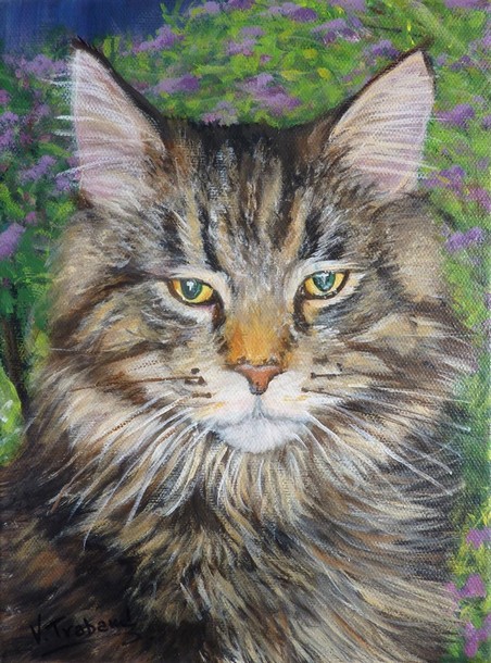 peinture portrait de chat maine coon jardin de nuit lilas - acrylique - virginie trabaud