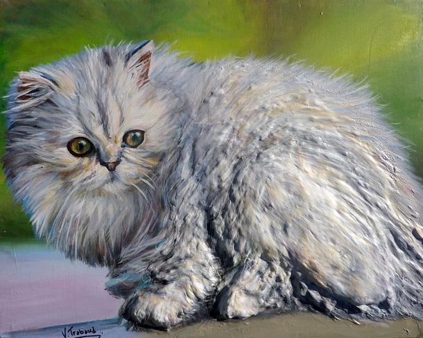 Peinture de Chat persan blanc - acrylique - Virginie TRABAUD Artiste peintre