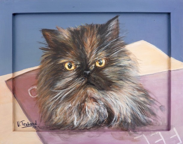 Peinture portrait chat persan écaille de tortue d'après photo - acrylique - virginie trabaud artiste peintre