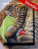 Peinture chat tigré couché dans un panier - acrylique - Virginie Trabaud Artiste Peintre