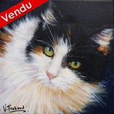 Peinture chat tricolore angora- acrylique - Virginie Trabaud Artiste Peintre