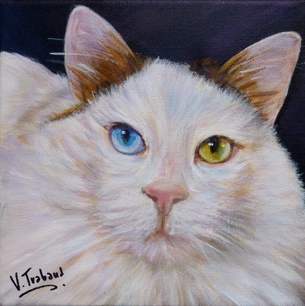 Peinture Portrait de Chat Turc du Lac de Van avec les yeux vairons - acrylique - Virginie TRABAUD Artiste Peintre