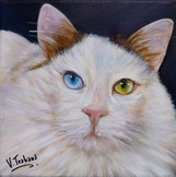 Peinture chat Turc du lac de van - acrylique - Virginie Trabaud Artiste Peintre