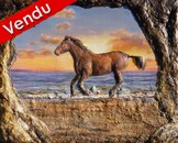 peinture cheval sur la plage en relief - Cliquez sur l image pour voir la fiche détaillée et consulter le tarif de l oeuvre