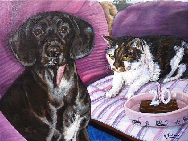 Peinture de Chien noir et blanc et Chat européen - acrylique -Virginie Trabaud Artiste Peintre Animalier