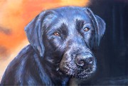 Peinture en Relief 3D - Labrador noir - Cliquez sur l'image pour voir la fiche et l'agrandissement