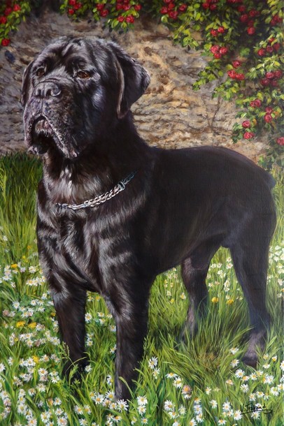 peinture de cane corso noir d'après photo - acrylique virginie trabaud