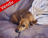 peinture chien russkiy toy d'après photos- Cliquez sur l image pour voir la fiche détaillée et consulter le tarif de l oeuvre