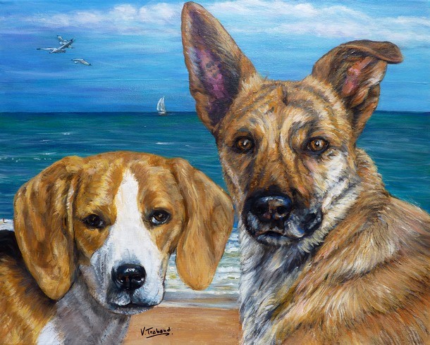 Peinture de chiens beagle et berger malinois d'après photos - Virginie TRABAUD