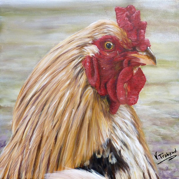 Peinture Portrait de Coq - Acrylique sur toile - Virginie TRABAUD Artiste animalier