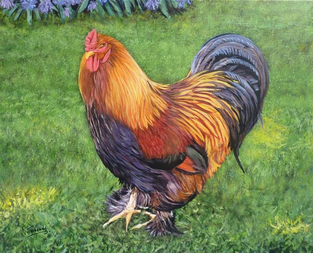 Peinture Coq Gaulois Doré - Acrylique sur toile - Virginie TRABAUD Artiste animalier