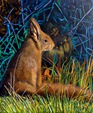 peinture écureuil en foret - Cliquez sur l image pour voir la fiche détaillée et consulter le tarif de l oeuvre