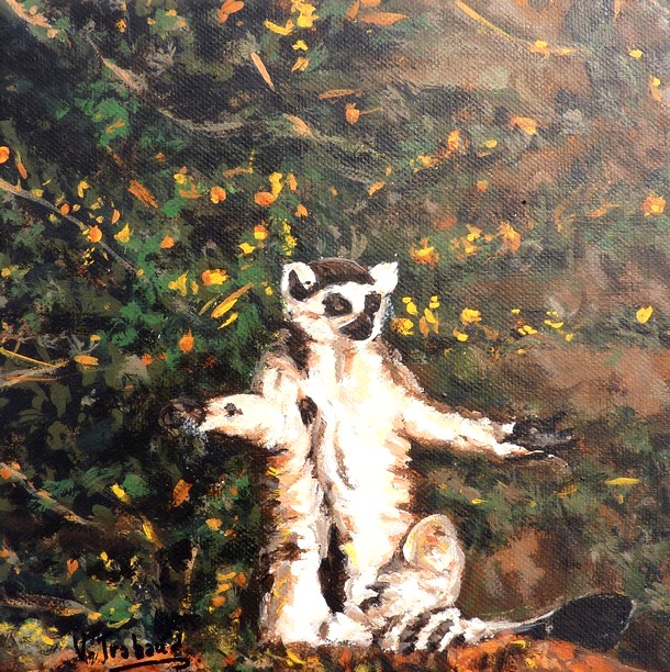 peinture lémurien au soleil - Artiste Peintre Virginie Trabaud