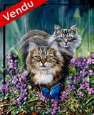 peinture acrylique Les chats - Cliquez sur l image pour voir la fiche détaillée et consulter le tarif de l oeuvre