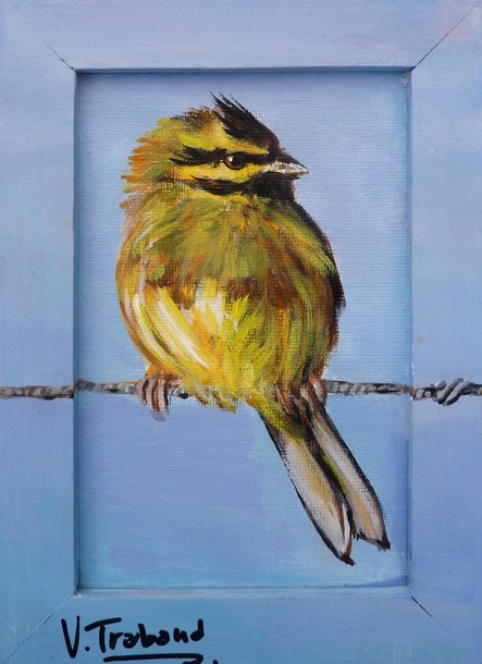 Peinture oiseau tarin des aulnes - Acrylique - Virginie TRABAUD Artiste peintre