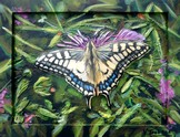 peinture papillon color dans le jardin - Cliquez sur l image pour voir la fiche dtaille et consulter le tarif de l oeuvre