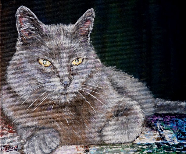 peinture portrait de chat chartreux sur un puzzle - acrylique virginie trabaud artiste peintre