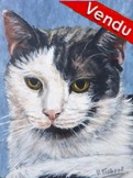 Portrait de chat d'apr�s photographies - Cliquez sur l image pour voir la fiche d�taill�e de l oeuvre