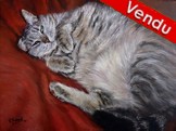 Peinture chat européen allongé sur un lit - Cliquez sur l'image pour voir la fiche et l'agrandissement