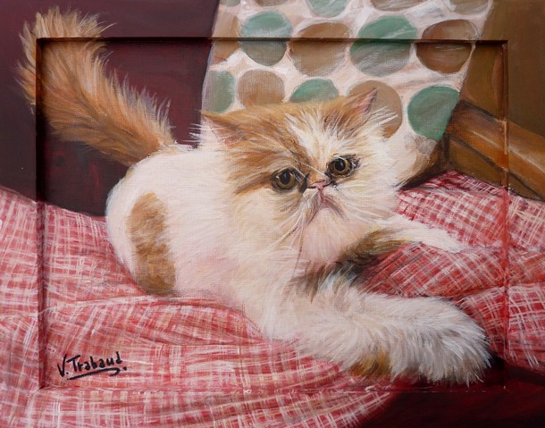 Peinture chat persan blanc et roux allongé sur une couverture - acrylique - virginie trabaud