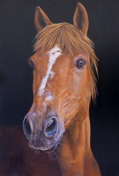 Peinture portrait de cheval brun d'aprs photo - Acrylique - Virginie Trabaud