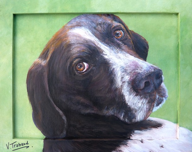 Portrait de chien - peinture acrylique avec cadre - tekki - virginie trabaud