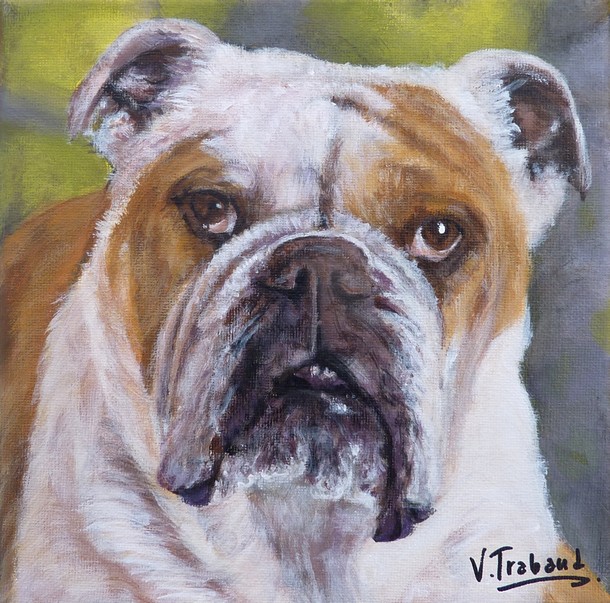 Peinture portrait de chien bulldog d'après photo - acrylique virginie trabaud artiste peintre