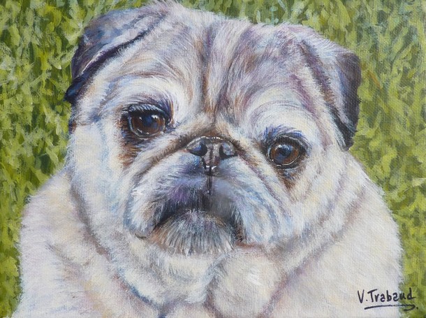 Peinture portrait de chien carlin d'après photo - acrylique virginie trabaud artiste peintre