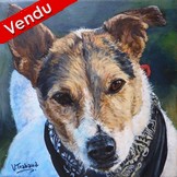 Peinture Portrait de Chien "Paco" - Virginie Trabaud Artiste Peintre Animalier